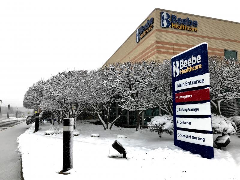 Trees at the west entrance of Beebe’s Lewes campus gather the wet snow falling Sunday morning. DENNIS FORNEY PHOTO